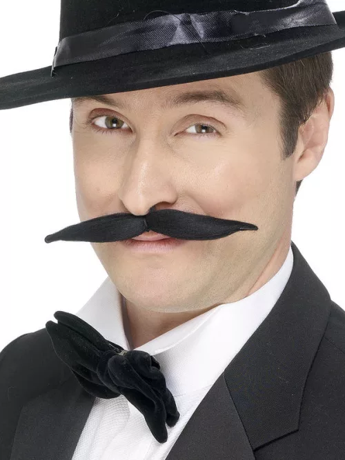 Photo du produit Moustache modelable adulte