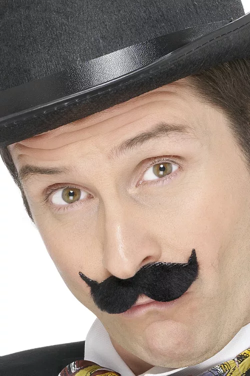 Photo du produit Moustaches à l'anglaise adulte