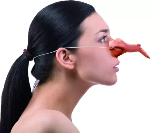 Photo du produit Nez crochu sorcière adulte Halloween