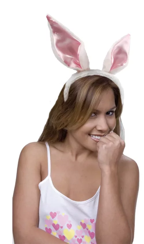 Photo du produit Oreilles lapin adulte