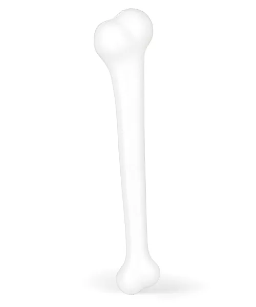 Photo du produit Os 40 cm