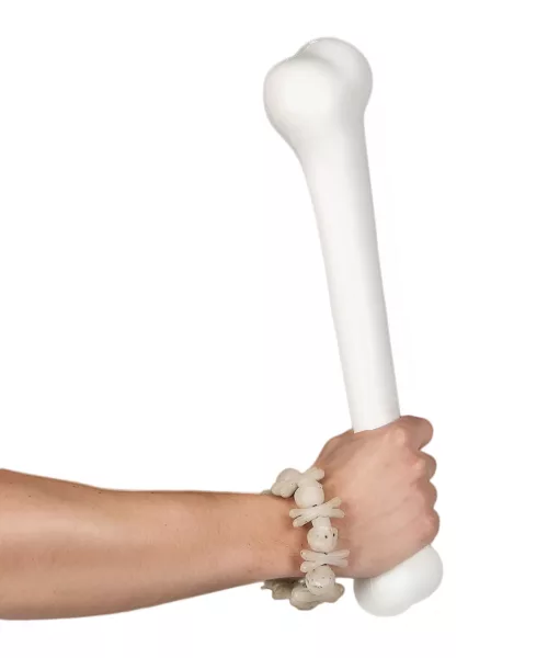 Photo du produit Os 40 cm