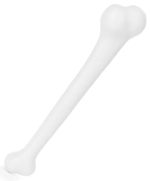 Photo du produit Os plastique