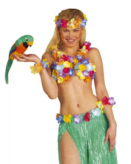 Photo du produit Perroquet des îles Hawaï 40 cm