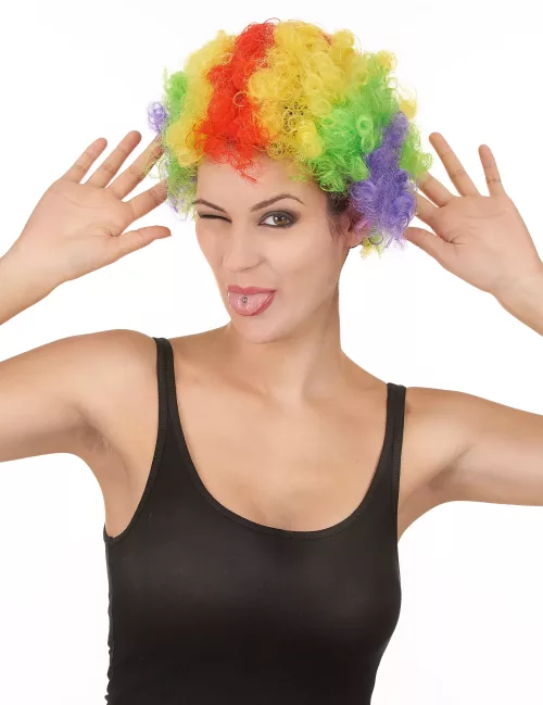 Photo du produit Perruque afro multicolore clown adulte