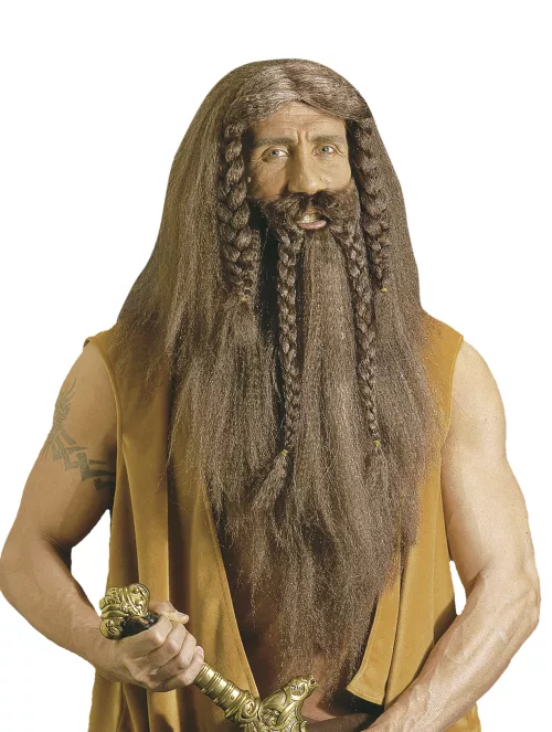 Photo du produit Perruque barbare viking homme