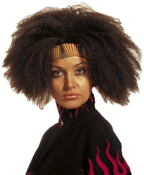 Photo du produit Perruque afro marron adulte