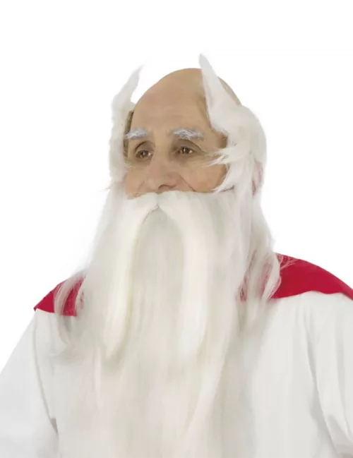 Photo du produit Perruque et barbe druide Panoramix - Astérix et Obélix