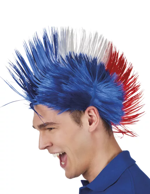 Photo du produit Perruque punk France