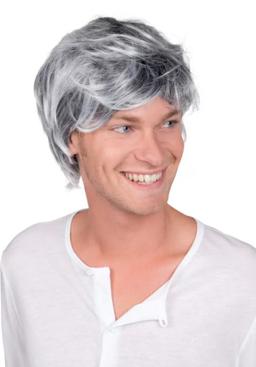 Photo du produit Perruque grisonnante homme