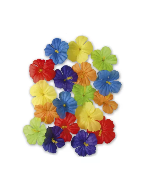Photo du produit Fleurs multicolores