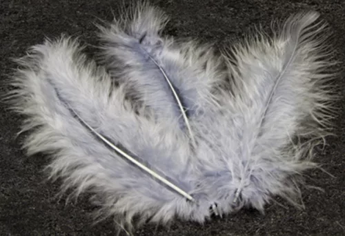 Photo du produit 20 Plumes de décoration grises