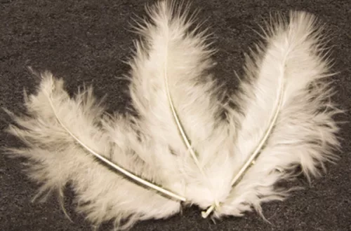 Photo du produit 20 Plumes de décoration ivoire