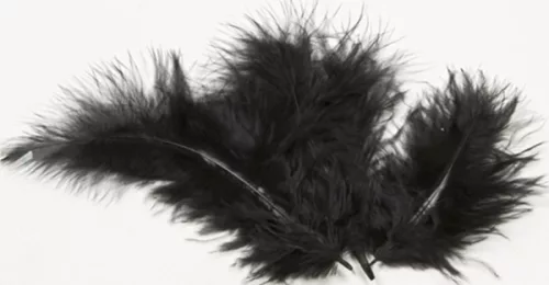 Photo du produit 20 plumes de décoration noires