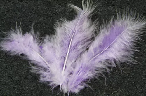 Photo du produit 20 Plumes de décoration parme