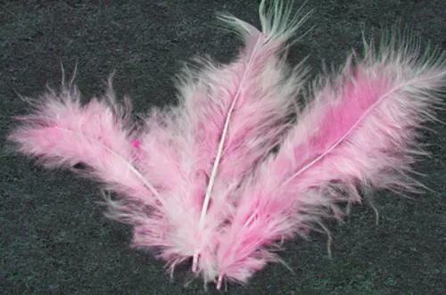Photo du produit 20 Plumes de décoration roses