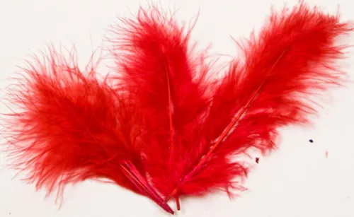 Photo du produit 20 Plumes de décoration rouges