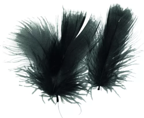 Photo du produit Plumettes noires