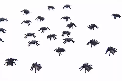 Photo du produit 24 Mouches 2 cm Halloween