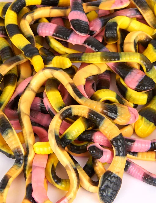 Photo du produit Sachet bonbons serpents Pit le python 1 kg