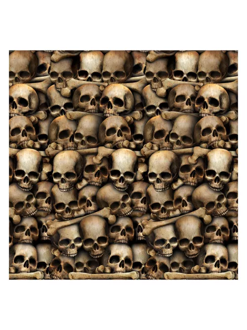 Photo du produit Décoration murale catacombes squelettes 1,2 x 9,1 m