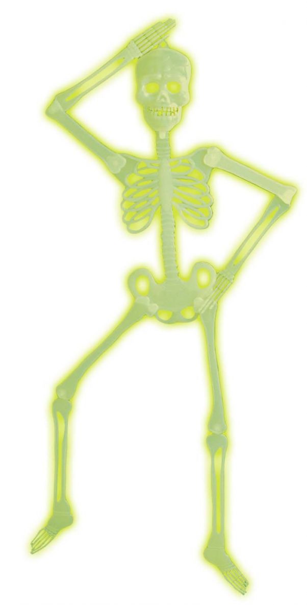 Photo du produit Squelette articulée phosphorescent Halloween 92 cm