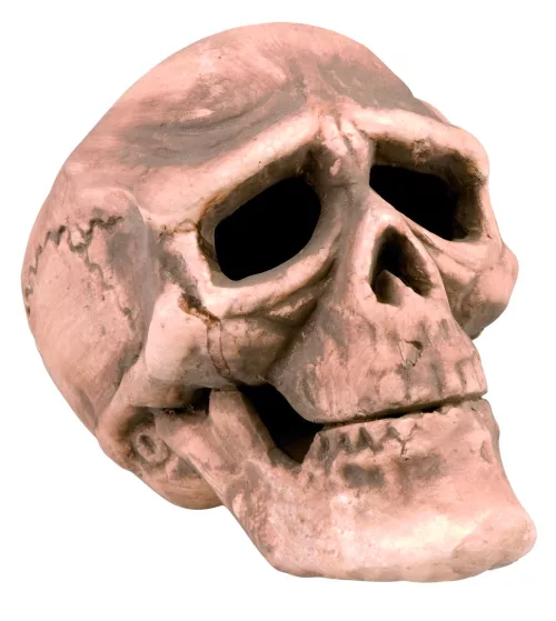 Photo du produit Tête de mort