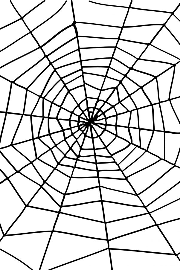 Photo du produit Toile d'araignée Halloween