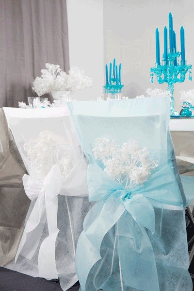 Photo du produit 10 Housses de chaise Blanche