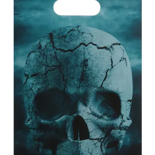 Photo du produit 10 Sacs de fête en plastique Nuit d'horreur 16 x 23 cm