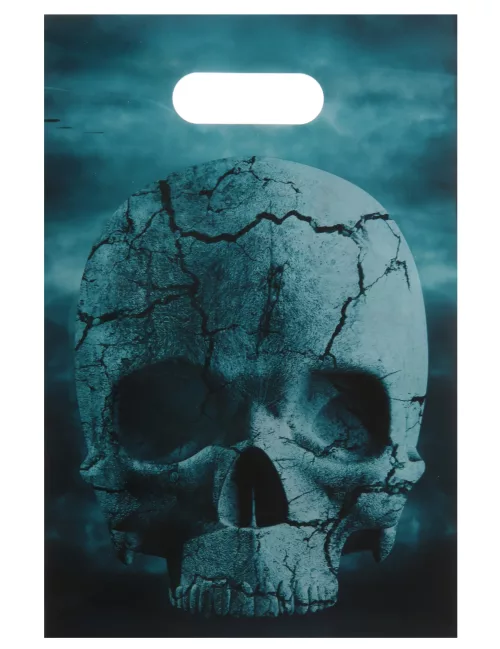 Photo du produit 10 Sacs de fête en plastique Nuit d'horreur 16 x 23 cm