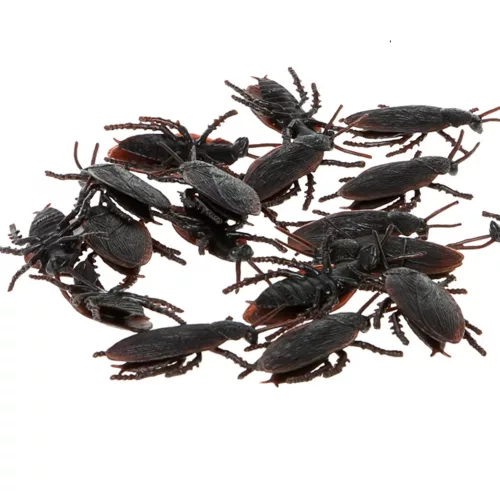 Photo du produit 12 Cafards noirs 6 cm Halloween