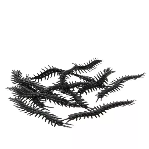 Photo du produit 12 Mille-pattes noirs 13 cm Halloween