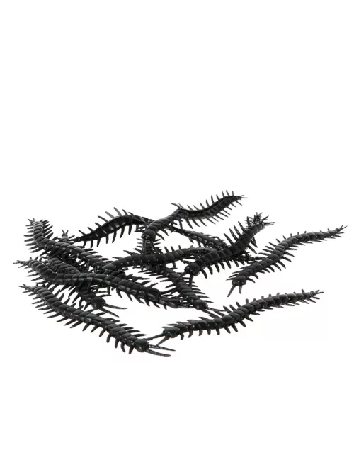 Photo du produit 12 Mille-pattes noirs 13 cm Halloween