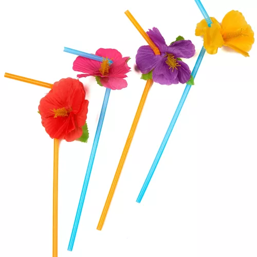 Photo du produit 12 pailles fleurs Hawai
