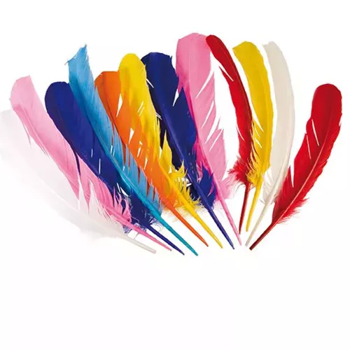 Photo du produit 12 Plumes indiennes multicolores 30 cm