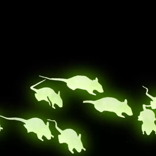 Photo du produit 12 Rats phosphorescents 4 cm Halloween