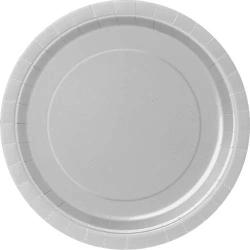 Photo du produit 16 Assiettes en carton argent 23 cm