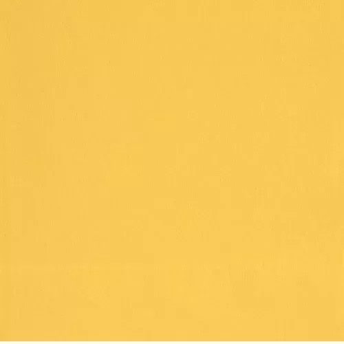 Photo du produit 20 Petites serviettes en papier jaune 25 x 25 cm