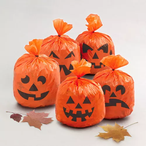 Photo du produit 20 Sacs en plastique citrouilles 15 x 20 cm