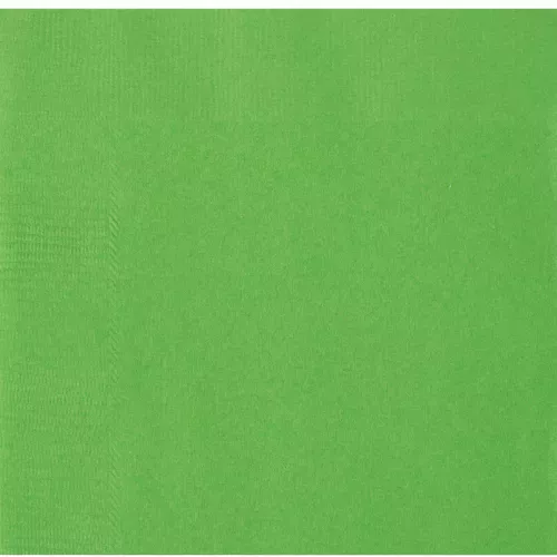 Photo du produit 20 Serviettes en papier Vert citron 33 x 33 cm