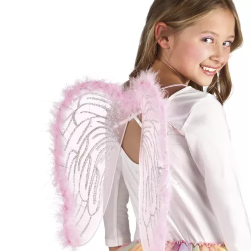 Photo du produit Ailes ange roses 40 x 33 cm enfant