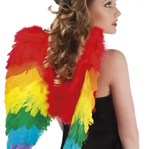 Photo du produit Ailes multicolores 50 x 50 cm adulte