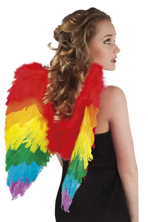 Photo du produit Ailes multicolores 50 x 50 cm adulte