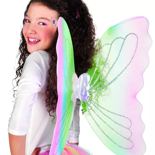 Photo du produit Ailes papillon multicolore