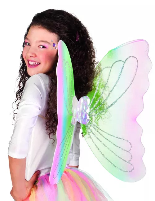 Photo du produit Ailes papillon multicolore