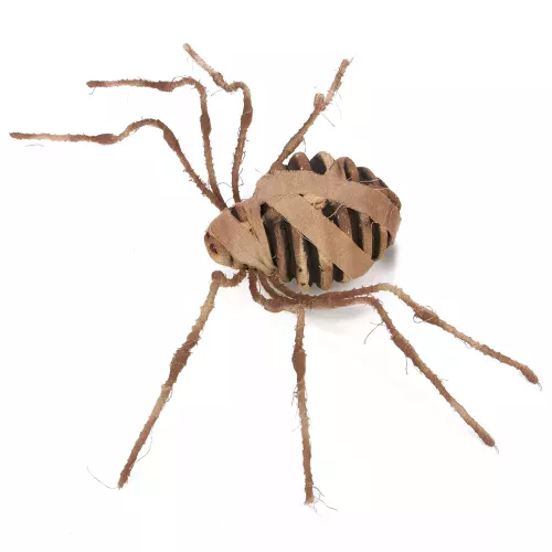 Photo du produit Araignée Momie 75 cm