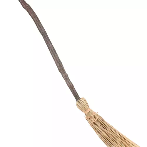 Photo du produit Balai de sorcière clair
