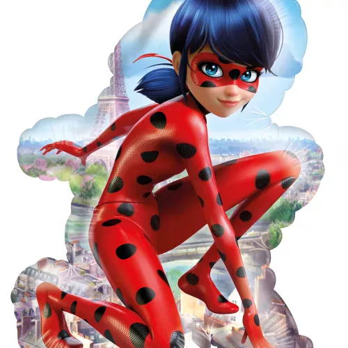 Photo du produit Ballon aluminium Ladybug 41 X 58 cm