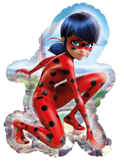 Photo du produit Ballon aluminium Ladybug 41 X 58 cm